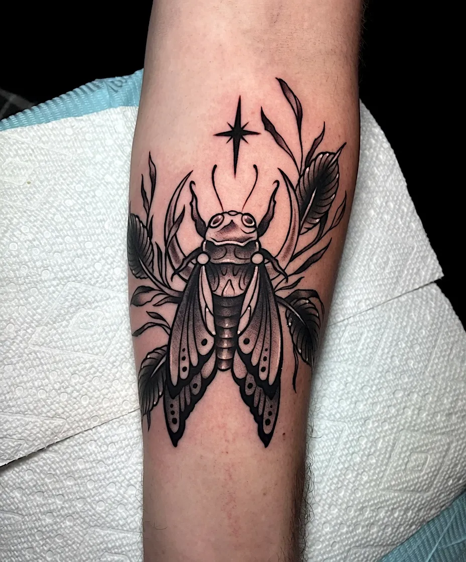 Black and grey cicada tattoo with a crescent moon and small star
