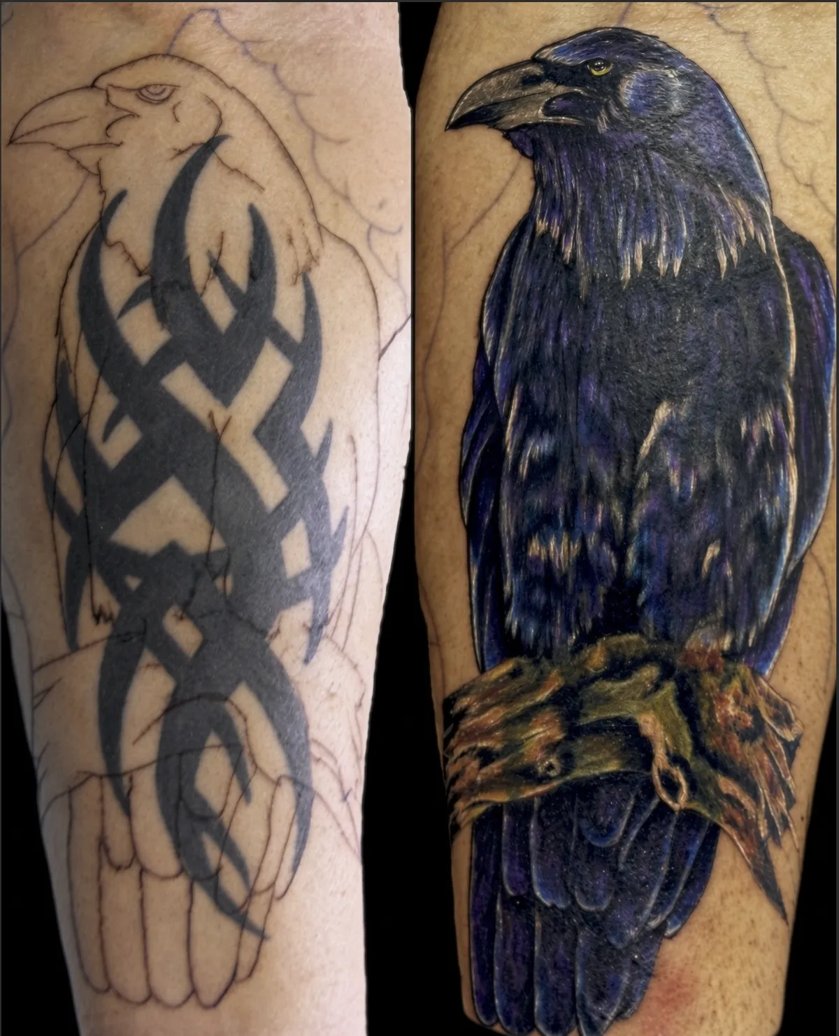 Color raven tattoo cover-up before and after