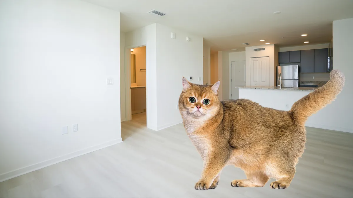 Cat-Friendly Apartment Living in San Antonio: 10 Tips