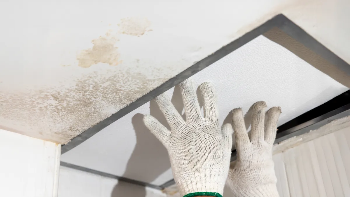 Ceiling Repair & Painting in Pinecrest