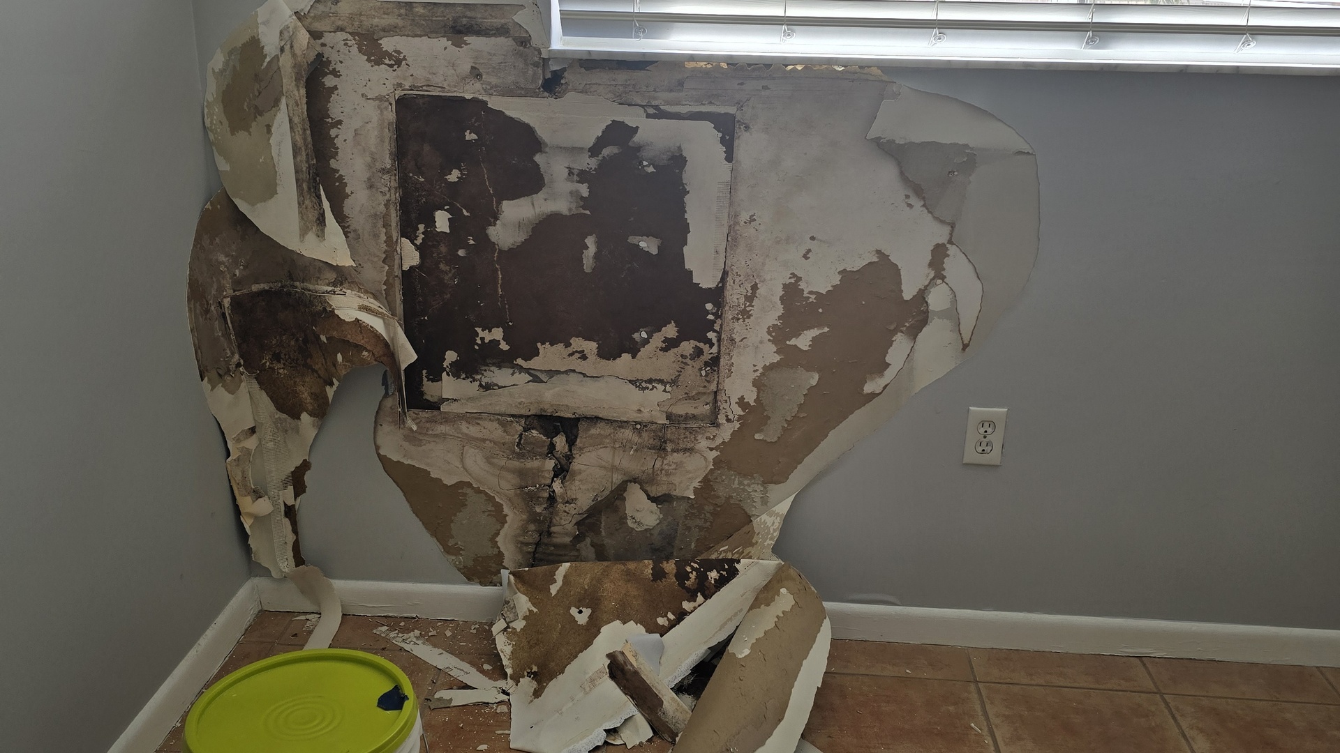 Interior Painting Pinecrest