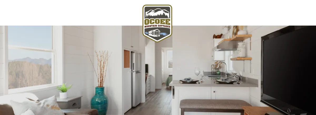 person holding 100 indian rupee bill