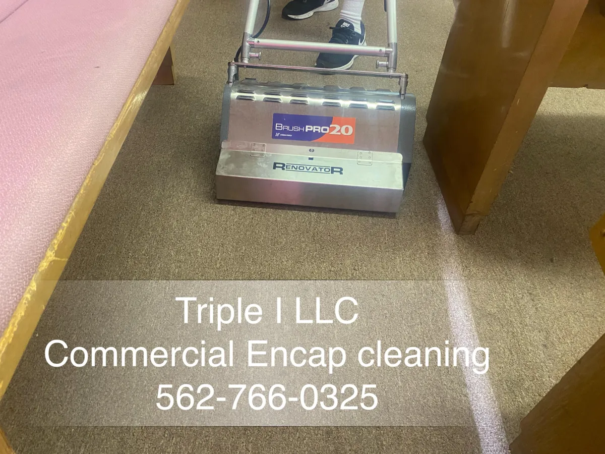 Very Low Moisture (VLM) Carpet Cleaning by Triple I LLC: Pros, Cons