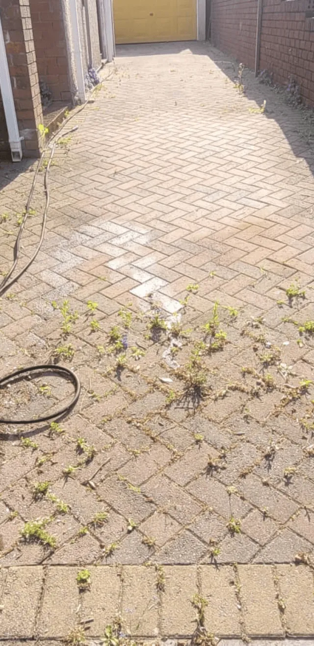 A long driveway in Cardiff before we jet washed it