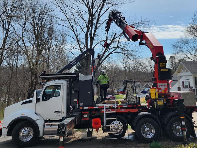 Tree Removal Crane Rental