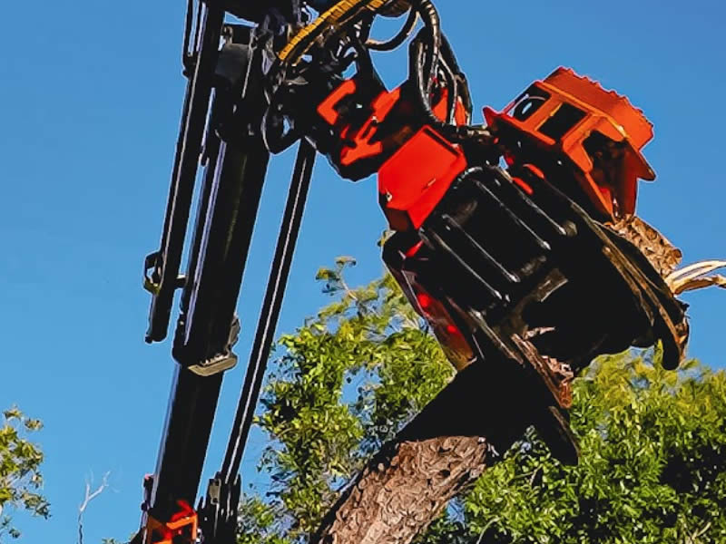 Rent our crane for tree service work