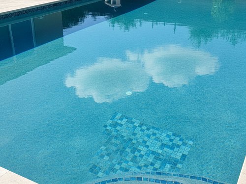 Green Pool Cleanup South Tampa, Hillsborough County, FL