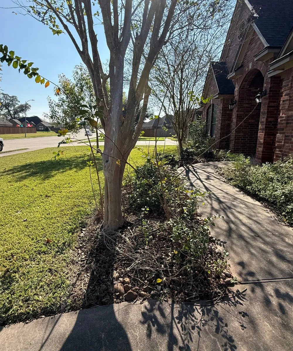 Concrete Contractor in Ventura County