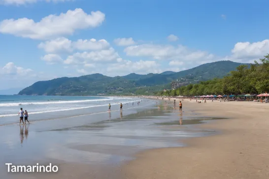 Tamarindo lifestyle assets