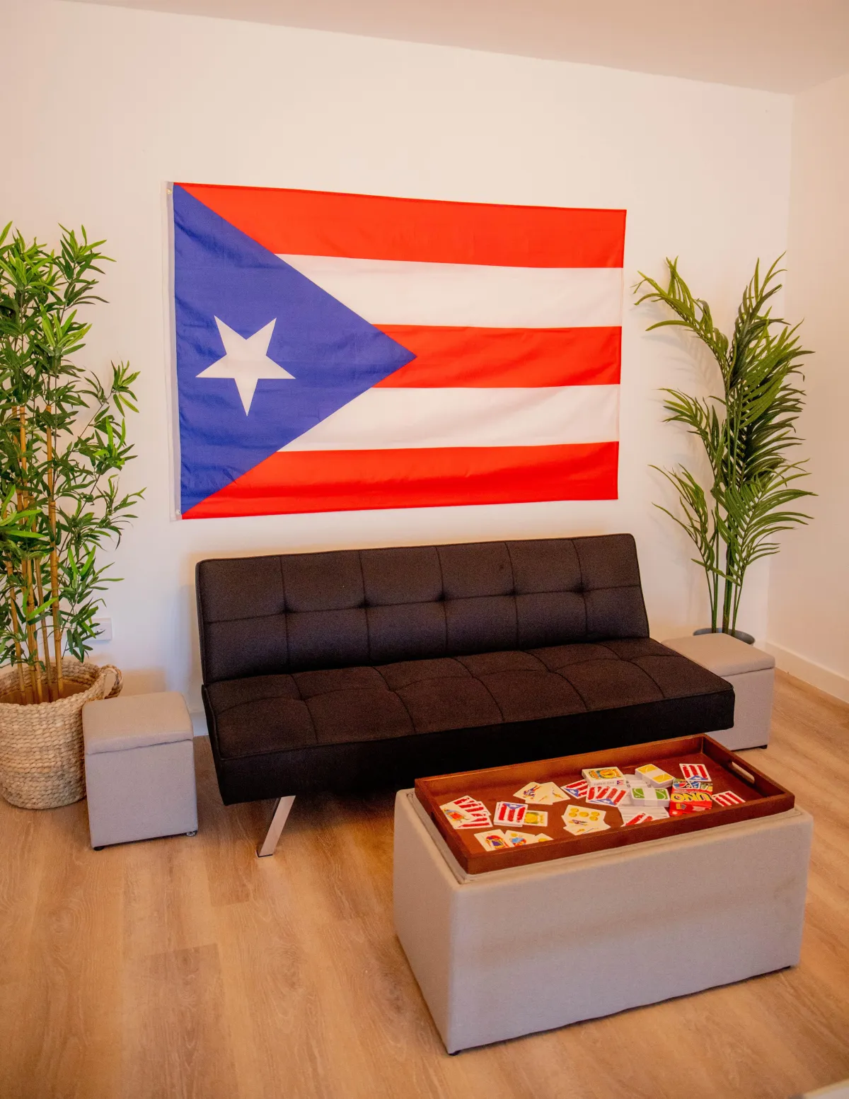 Puerto Rico Airbnb home with game room