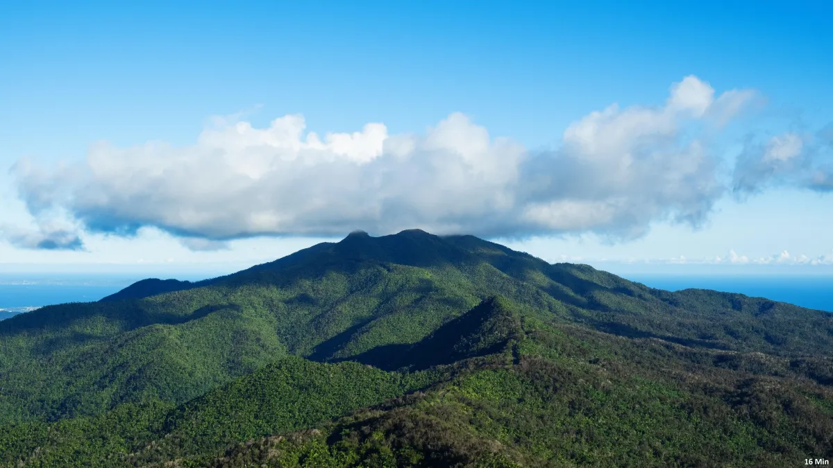 El Yunque National Rain Forest
