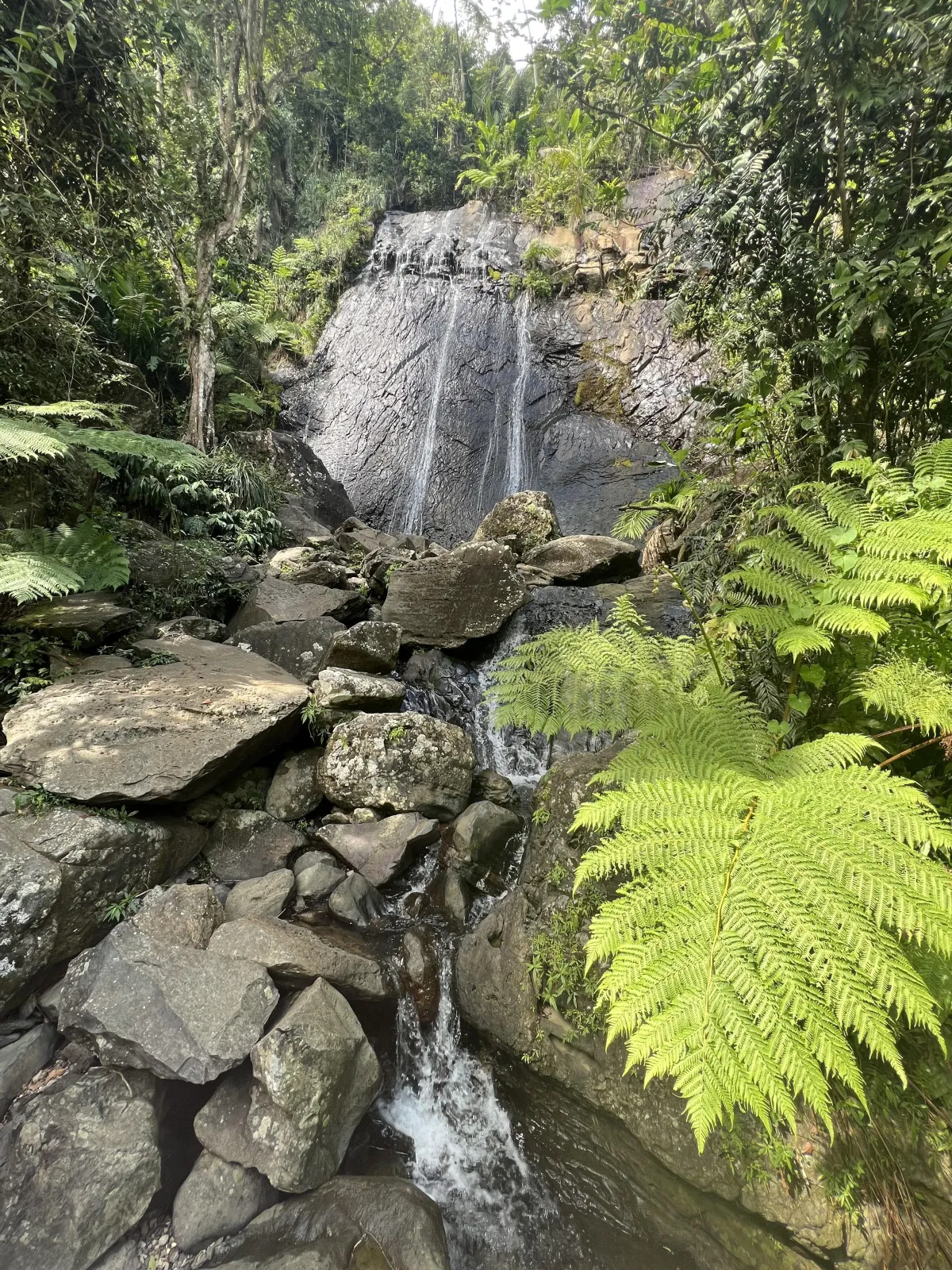 Mina falls