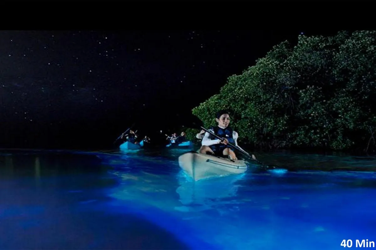 Fajardo Bio Bay
