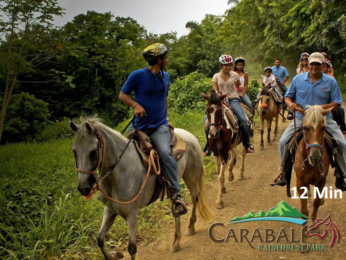 Carabali Rainforest Park