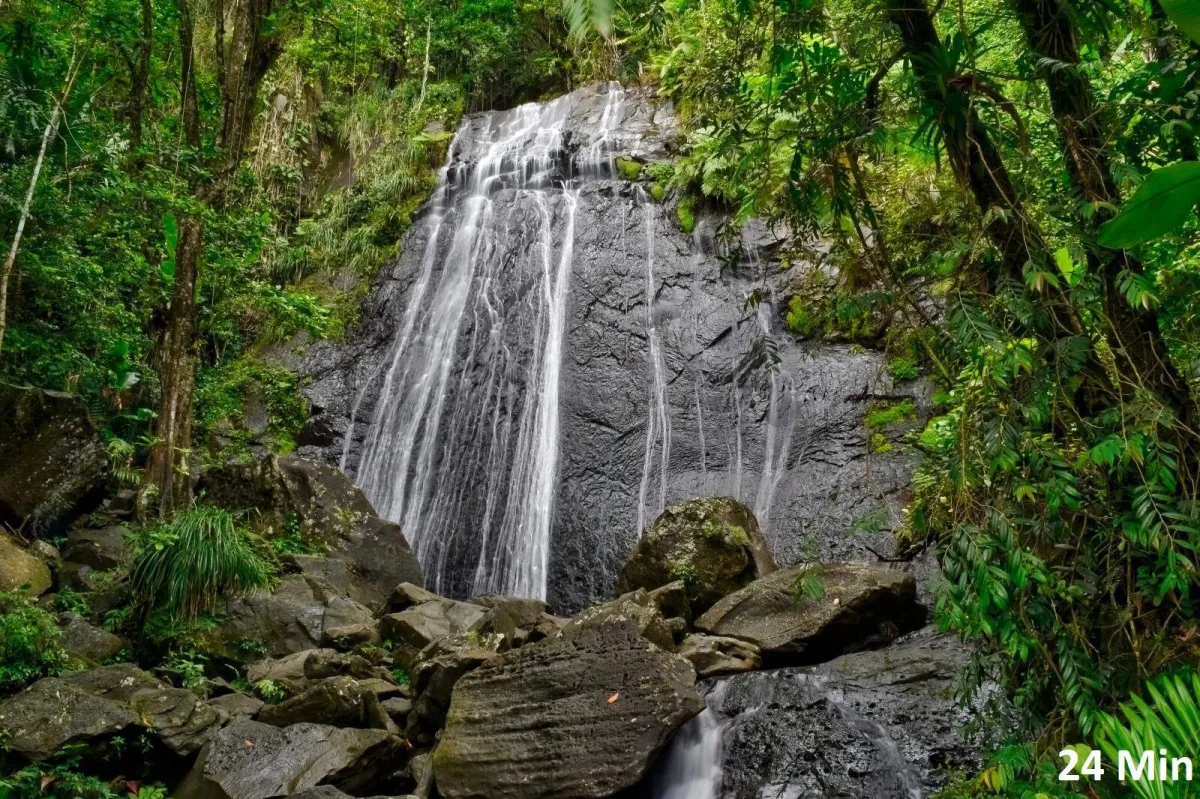 Cocoa Falls Waterfall El Yunque