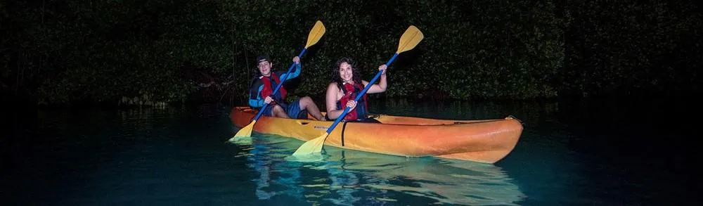 Bio Bay Bioluminescent Kayaking Tour in Fajardo