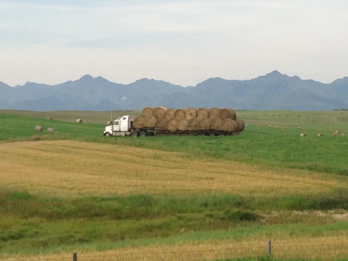 Hay Transport