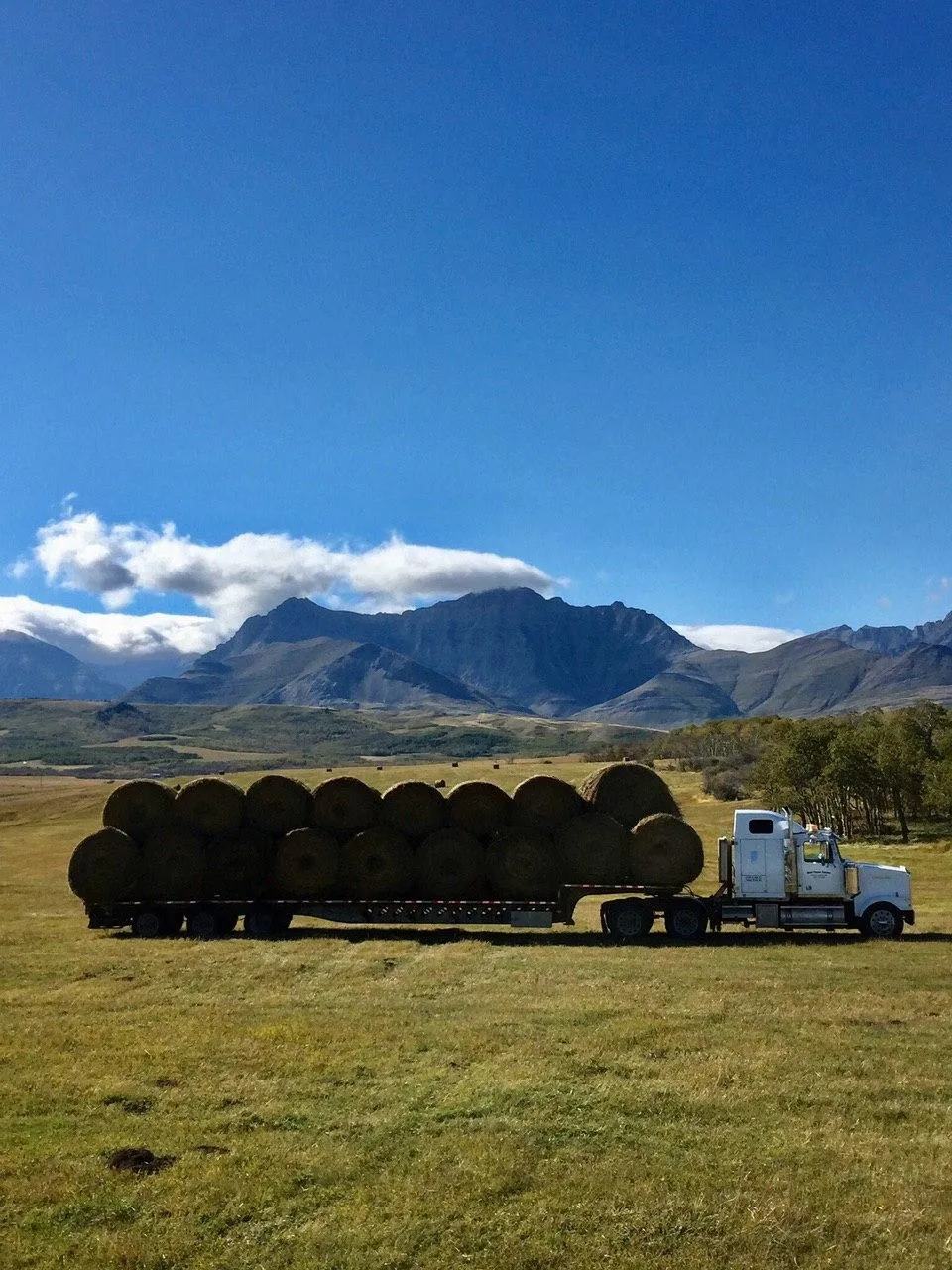 Round Bale Transport