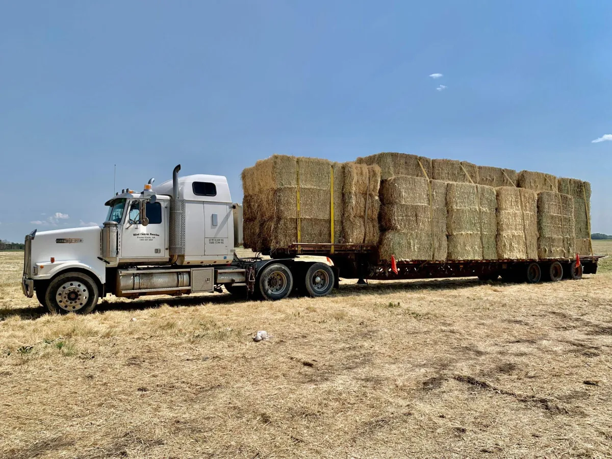 Hay Transport