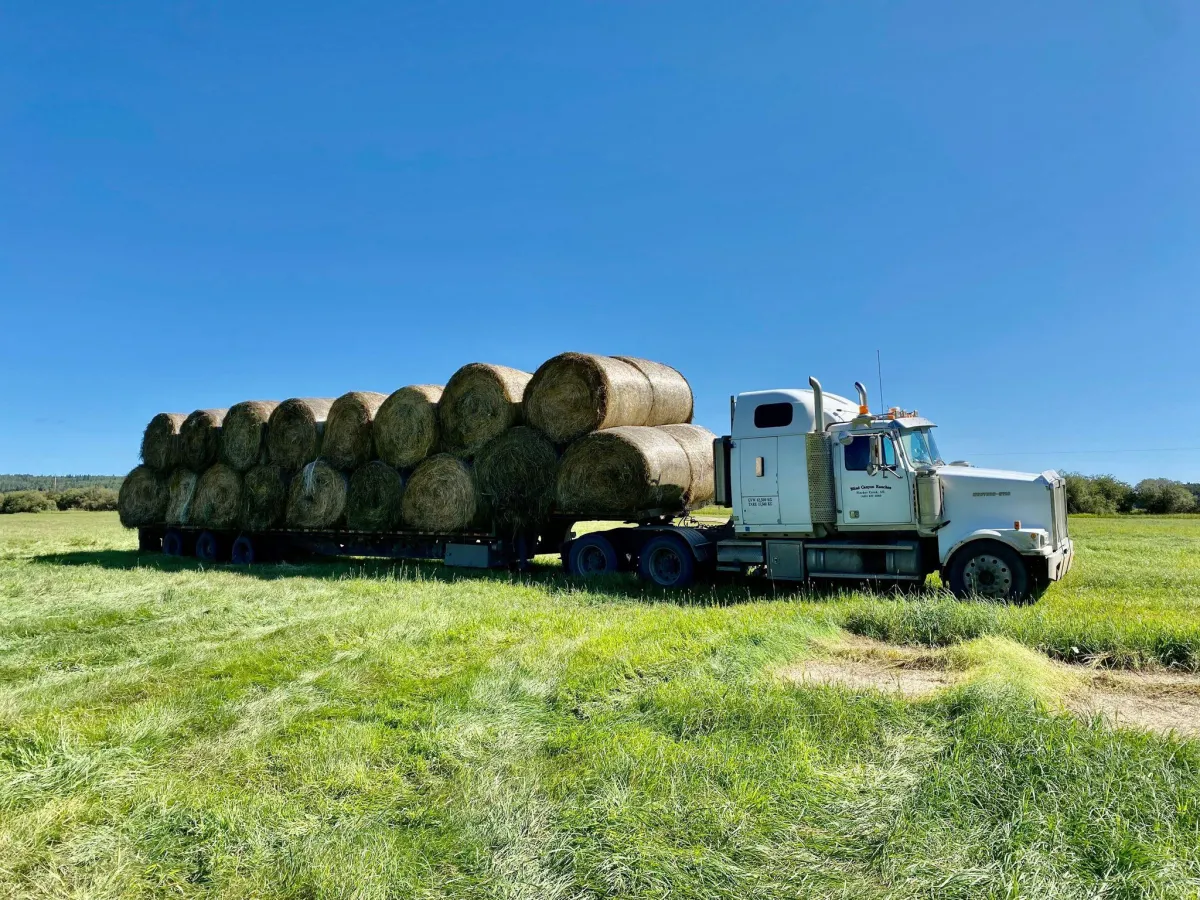 Alberta Bale Hauling