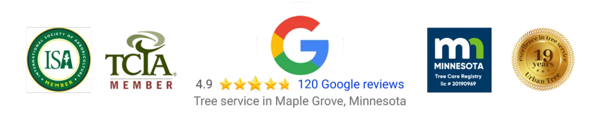 All of the Urban Tree Accreditations and Certifications including: ISA Certification, TCIA Membership, 120 Google Reviews, Minnesota Tree Care Registry License number 20190969, and 19 years in business.