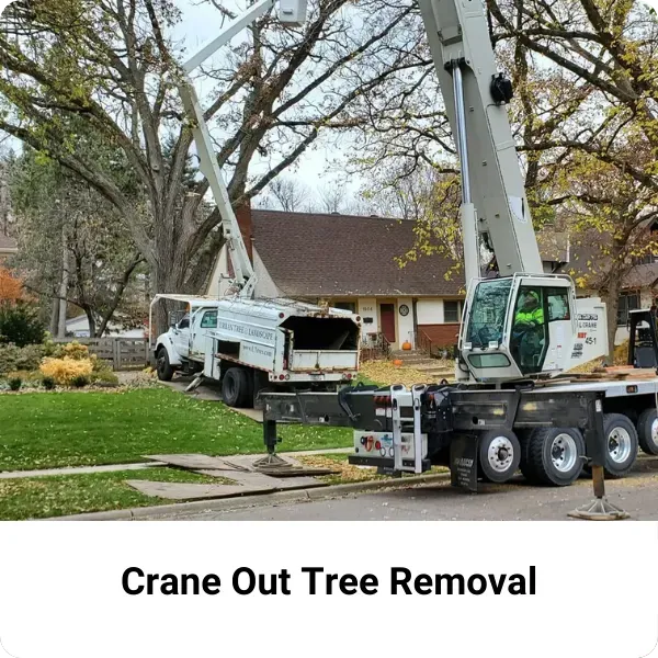 Crane Out Tree Removal