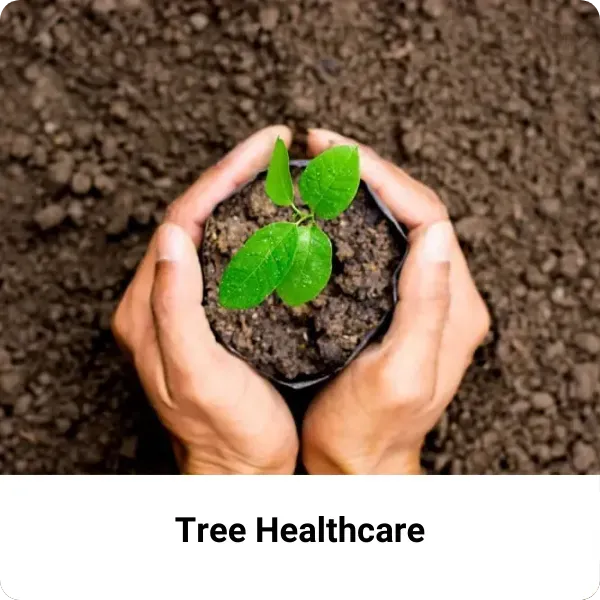 Tree Healthcare