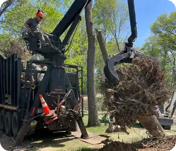 Grapple Truck Tree and Debris Removal