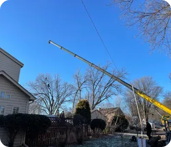 Crane Out Tree Removal