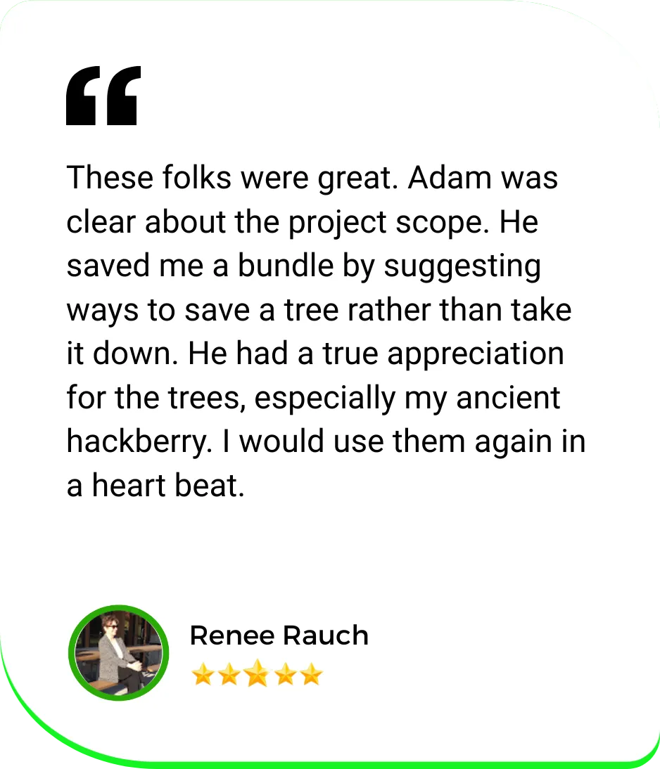 These folks were great. Adam was clear about the project scope. He saved me a bundle by suggesting ways to save a tree rather than take it down. He had a true appreciation for the trees, especially my anceint hackberry. I would use them again in a heart beat. Renee Rauch