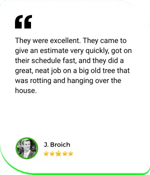 They were excellent. They came to give an estimate very quickly, got on their schedule fast, and they did a great, neat job on a big old tree that was rotting and hanging over the house. J. Broich