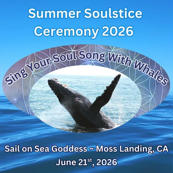 Summer Solstice Sing Your Soul Song With Whales in Moss Landing, CA