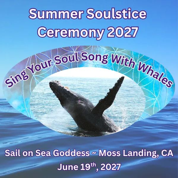 Summer Solstice Sing Your Soul Song With Whales in Moss Landing, CA