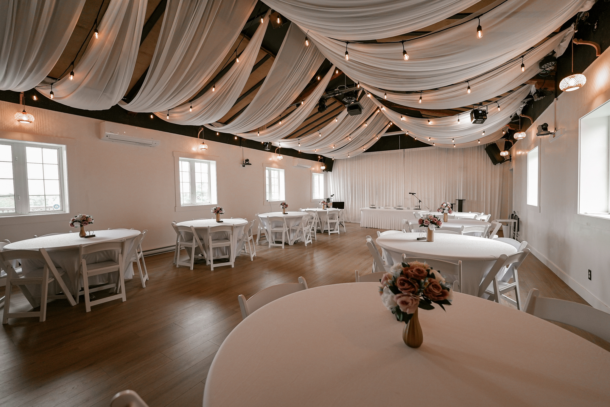 Ceiling Drapes
