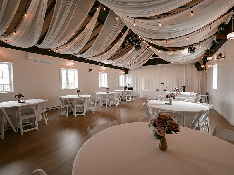 Ceiling Drapes