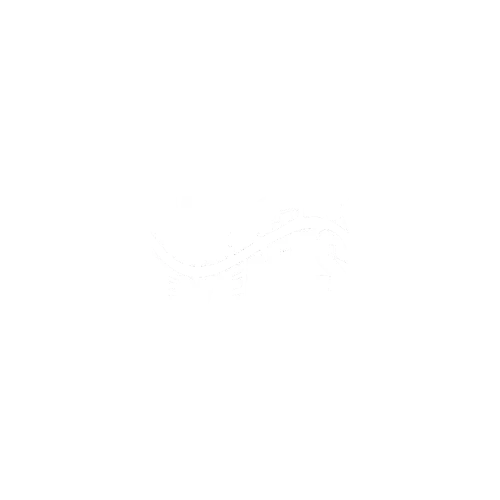 Mack Events Logo