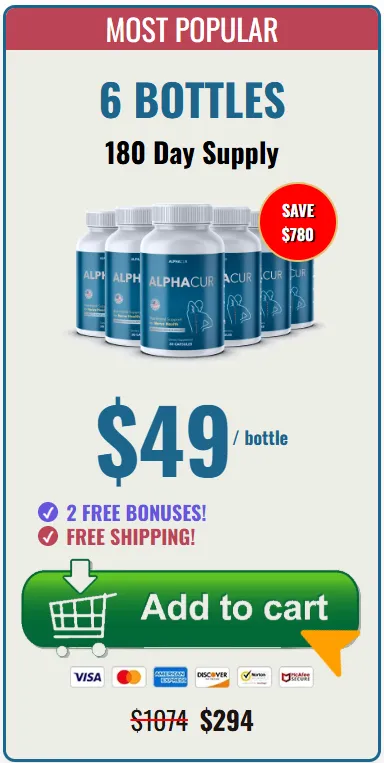 nervital buy 6 bottles