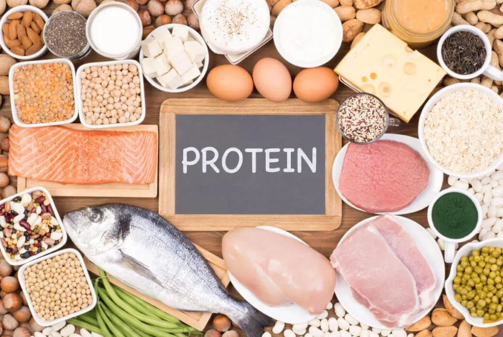 Mission Possible. Getting That Protein Intake 