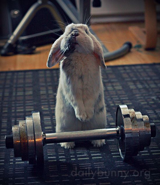 Easter Without The Guilt