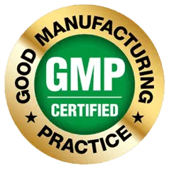 Vision 20  gmp