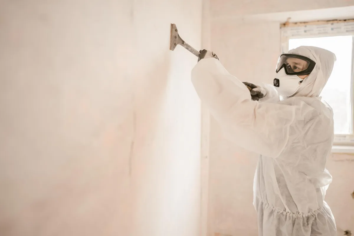 Mold remediation by Cal Green Restoration