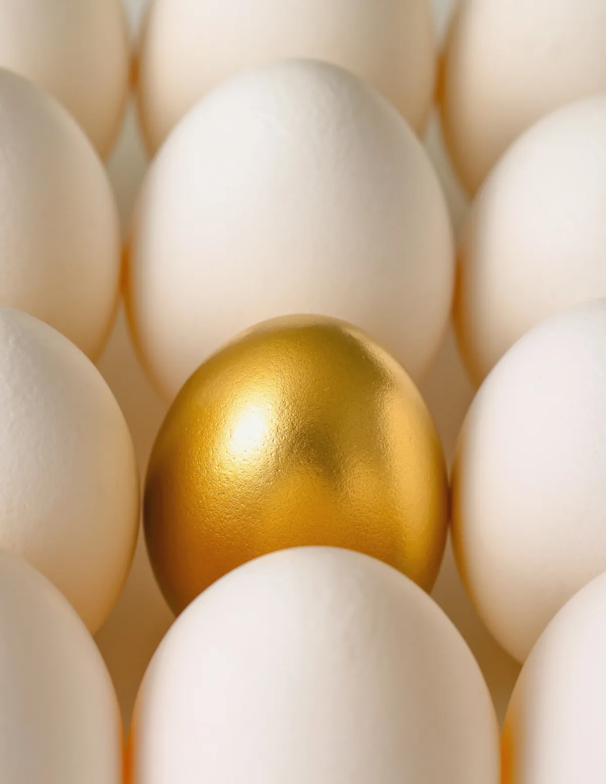 The Exhausting Hobby of Pretending to Be Perfect