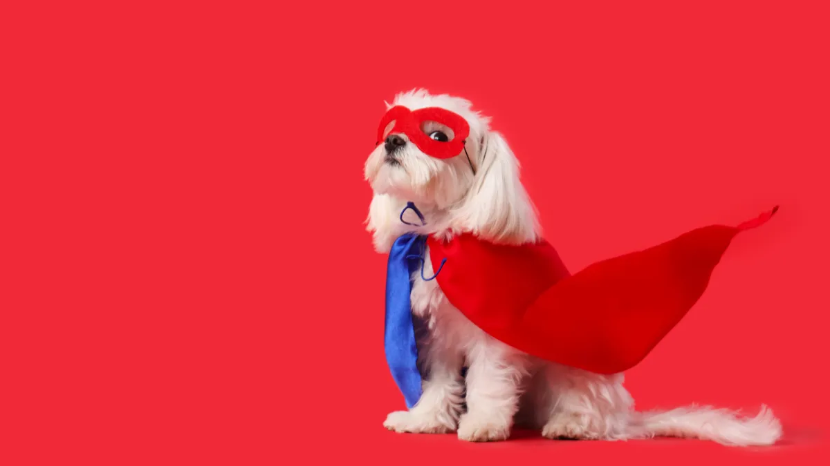 The Superpower They Don't Teach in School
