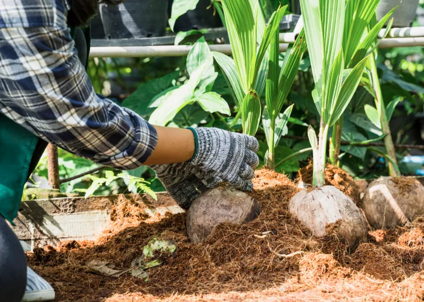 Mulching Lawn Mower for a Lush Yard in North NJ