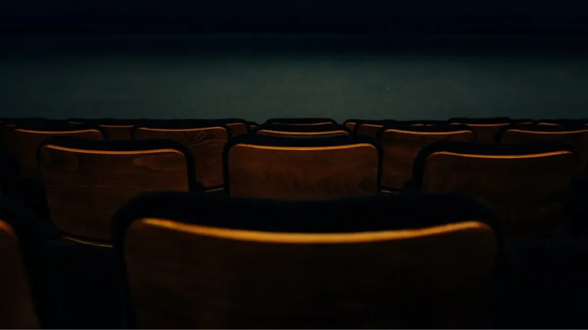 Upholstered seats in a theatre.