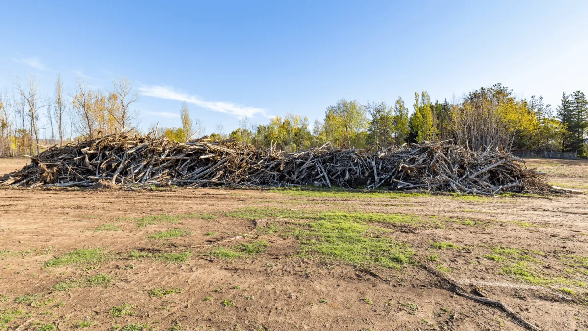 Forestry Mulching