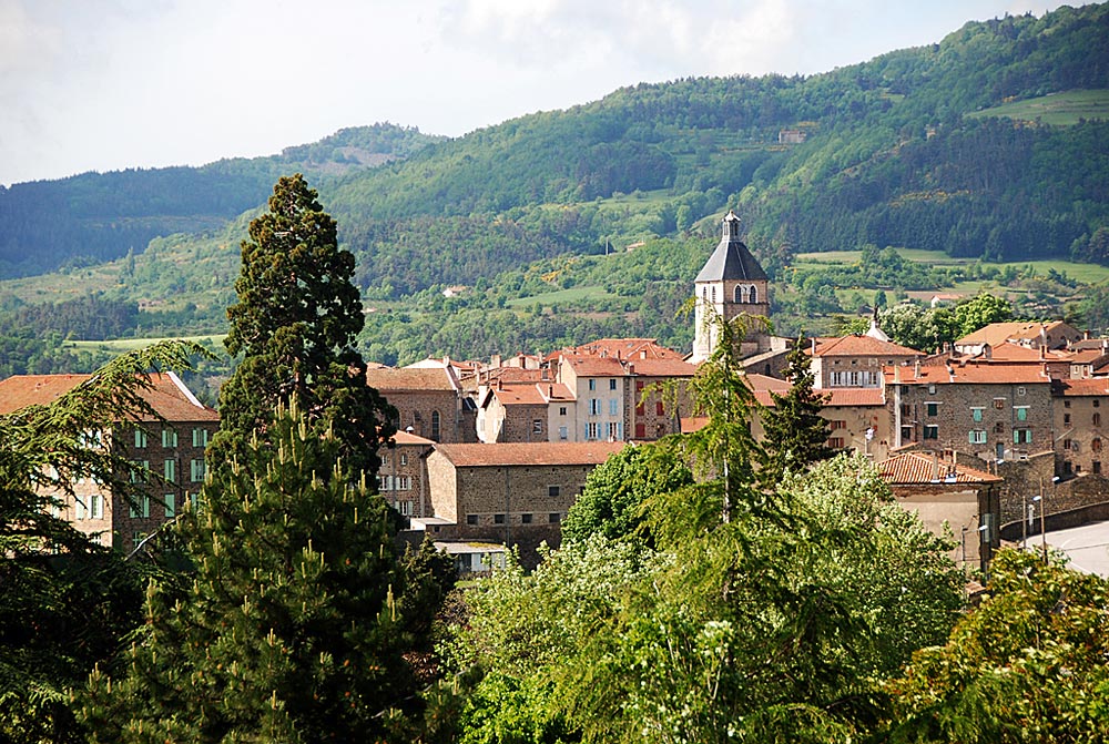 Aurélien Andres - Mandataire immobilier - Saint-Félicien