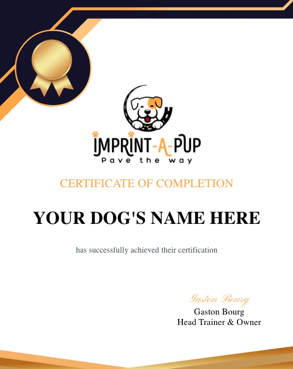 Certificate of Completion for the Imprint-A-Pup dog training course, featuring a gold seal and the name of the dog