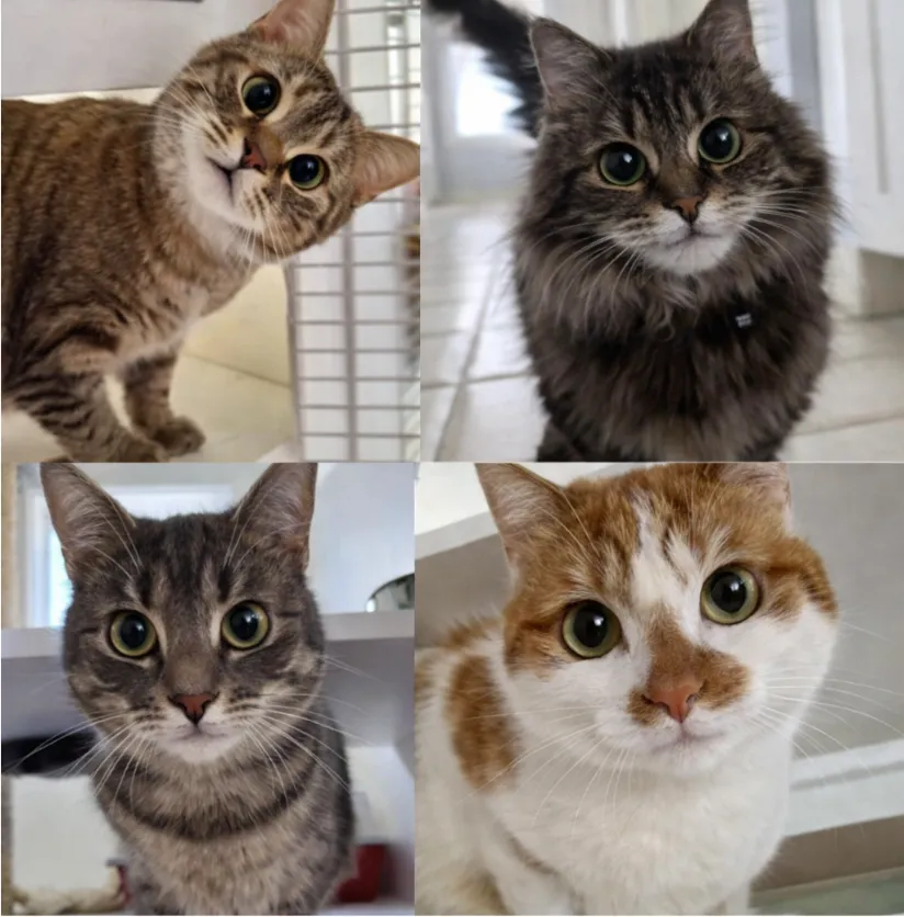 Woman smiling while holding her dog