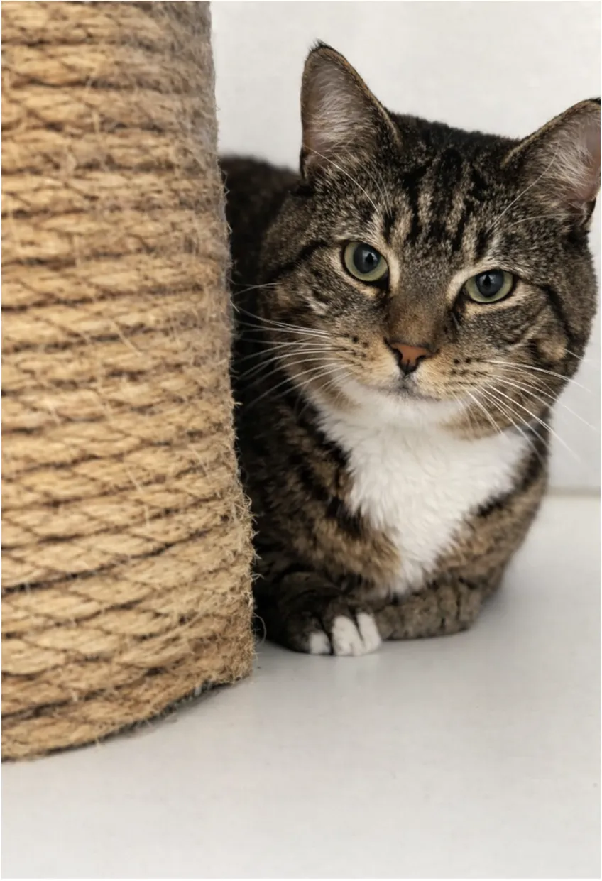 Dog sitting between two girls